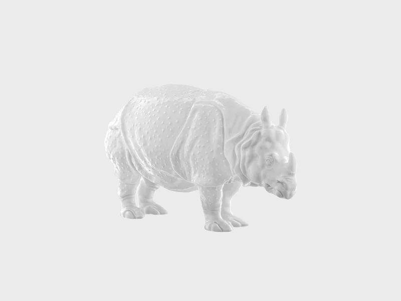 Rhinozeros Clara