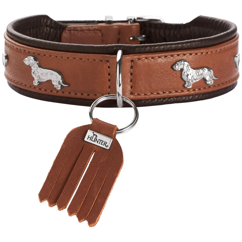 Teckel-Halsband München