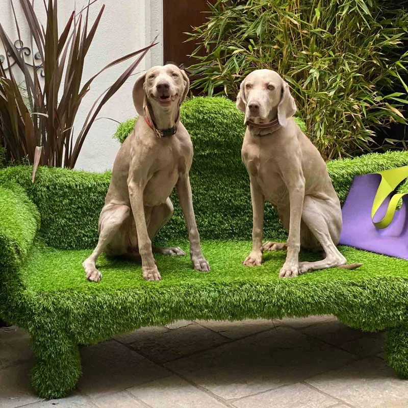 Sofa SOFAGREEN by 13Ricrea