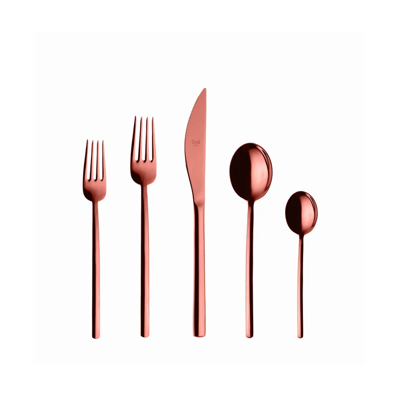 Stainless Steel Cutlery DUE Set of Twenty-Four by Mepra