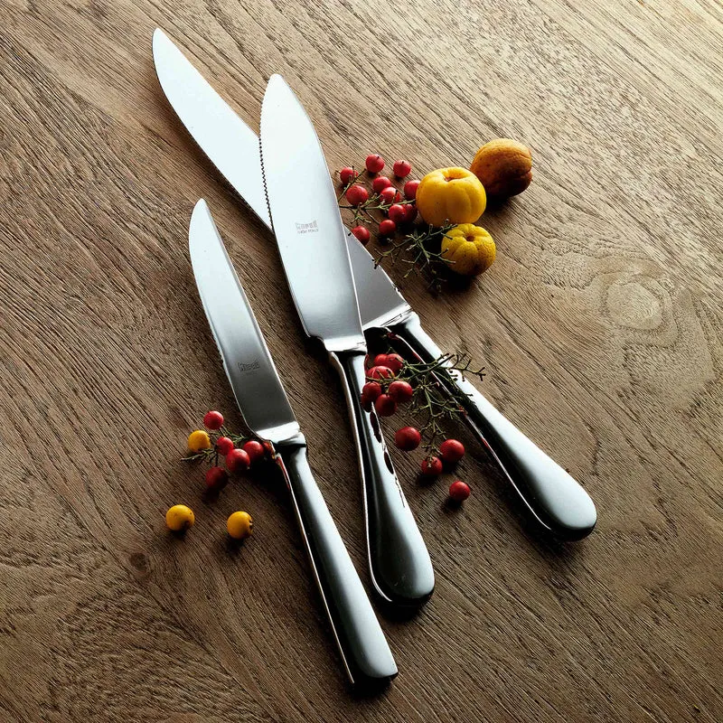 Stainless Steel STEAK KNIFE Set of Four by Mepra