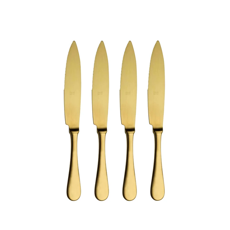 Stainless Steel STEAK KNIFE Set of Four by Mepra