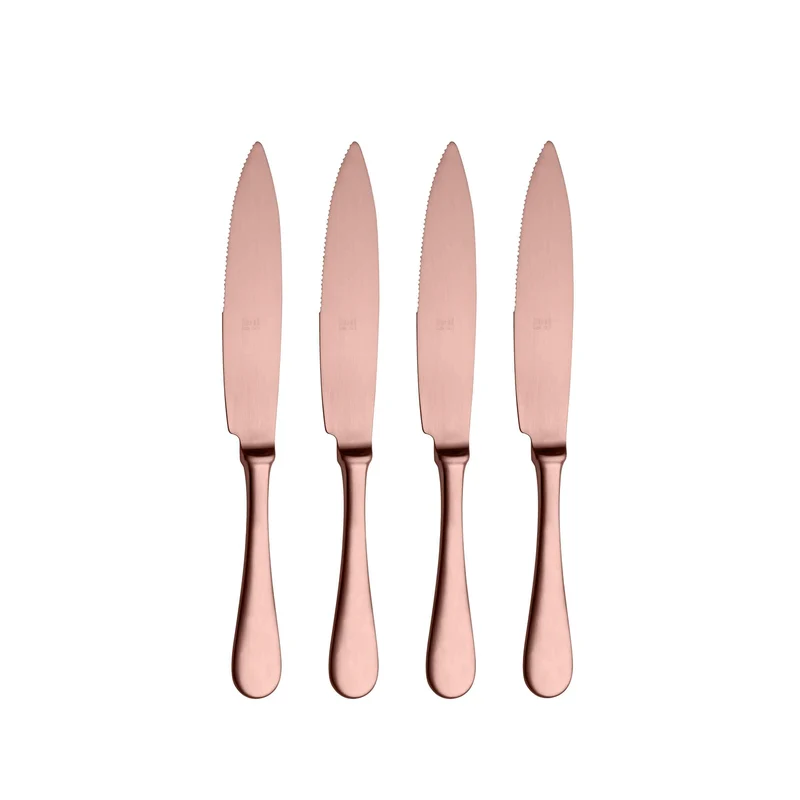 Stainless Steel STEAK KNIFE Set of Four by Mepra
