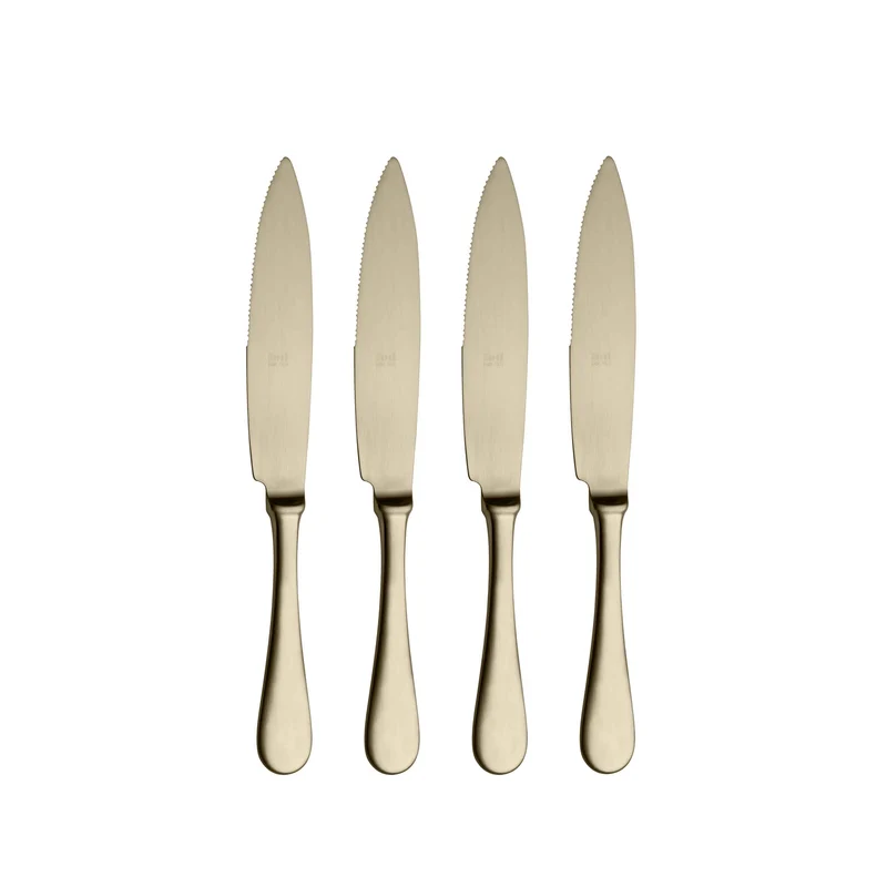 Stainless Steel STEAK KNIFE Set of Four by Mepra