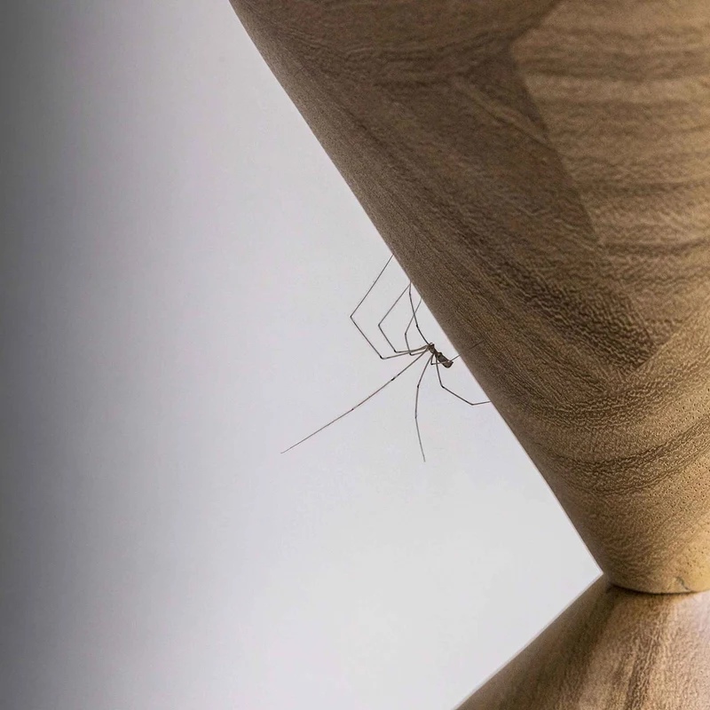 Dimmable Floor Lamp COSTANTINA by Nava + Arosio for Mogg
