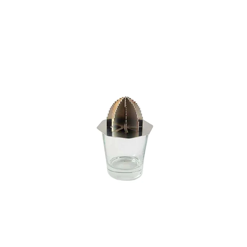 Steel Juicer BRAIN JUICE by Cyrcus Design