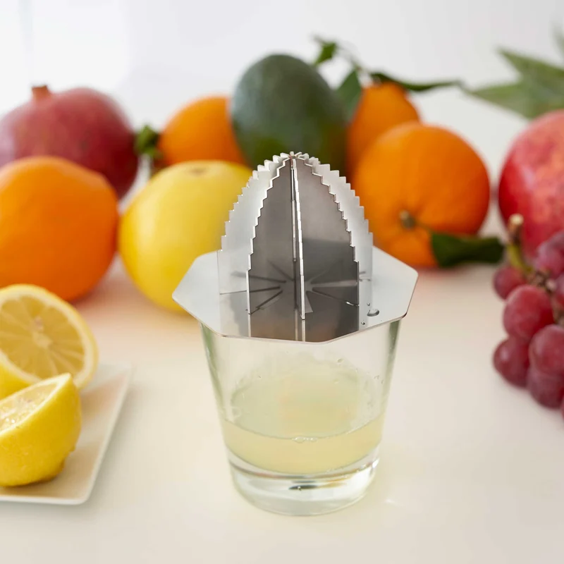 Steel Juicer BRAIN JUICE by Cyrcus Design