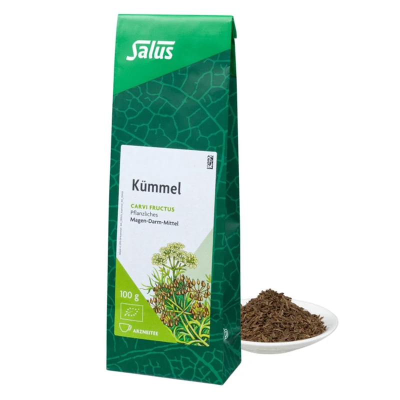 Salus Kümmel Tee Bio 100g