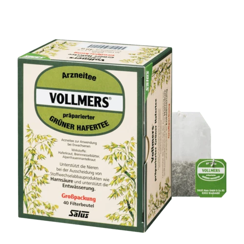 Salus Vollmers präparierter Grüner Hafertee N Großpackung 40er Filterbeutel