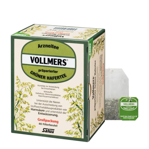 Salus Vollmers präparierter Grüner Hafertee N Großpackung 40er Filterbeutel
