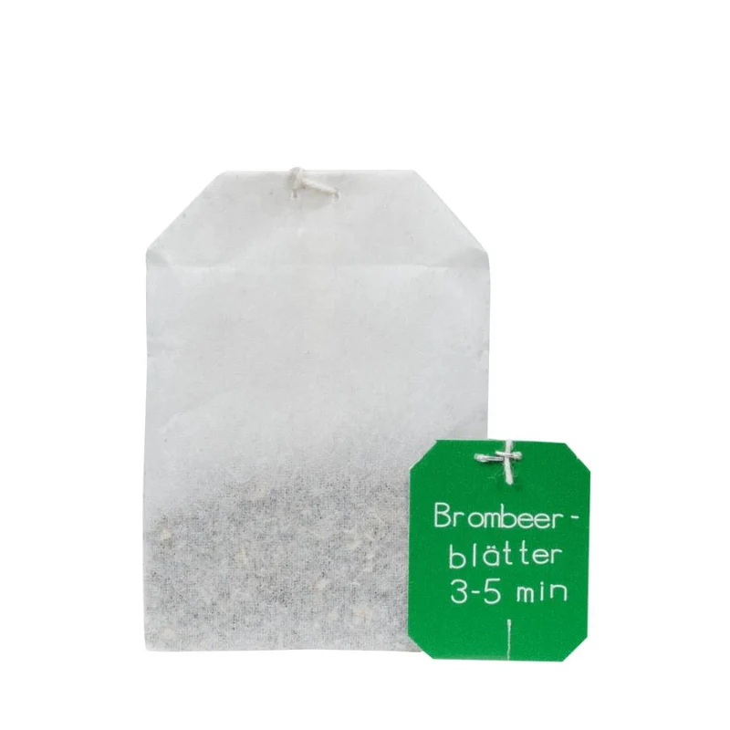 Salus Brombeerblätter Tee Bio, 15 FB/27g
