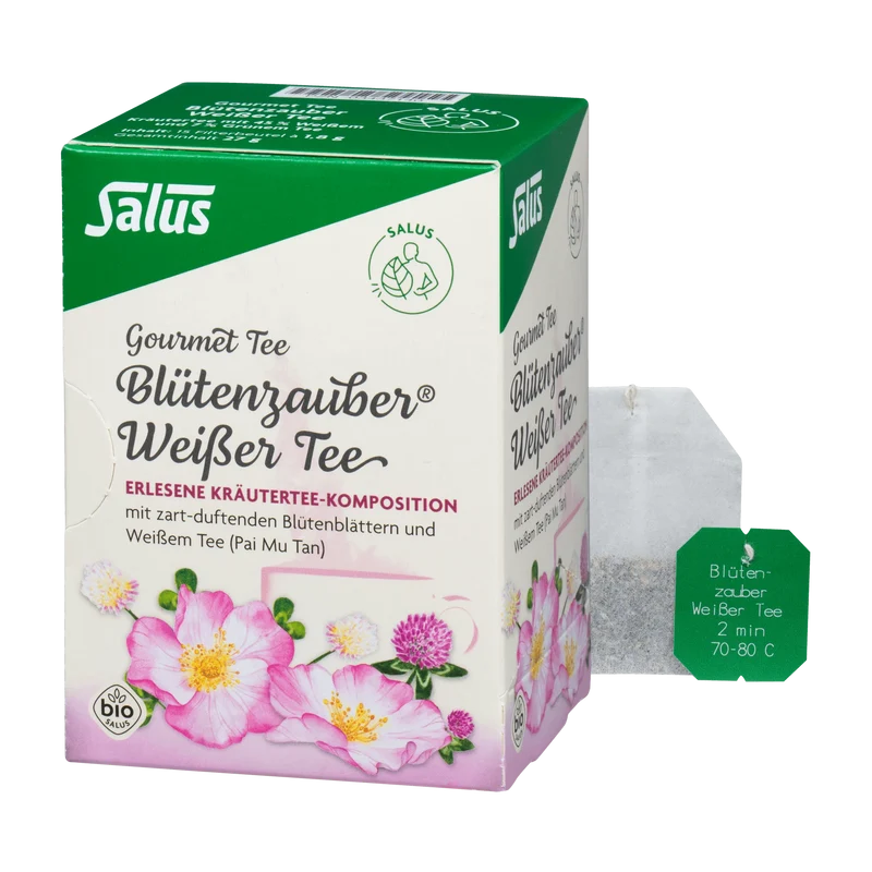Salus Gourmet Blütenzauber Weißer Tee Bio 15 Filterbeutel