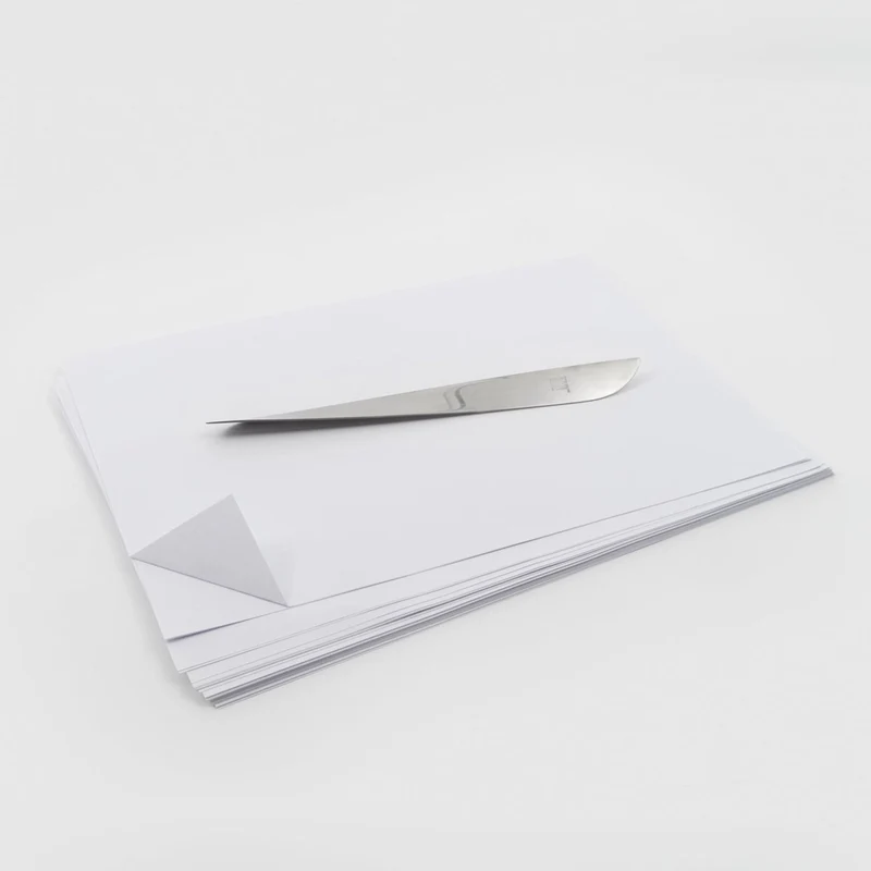 Stainless Steel Letter Opener AMELAND Set by Enzo Mari for Danese Milano
