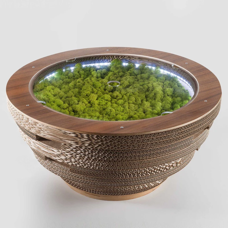 Cardboard and Wood Coffee Table TAPPO CON LICHENI XL
