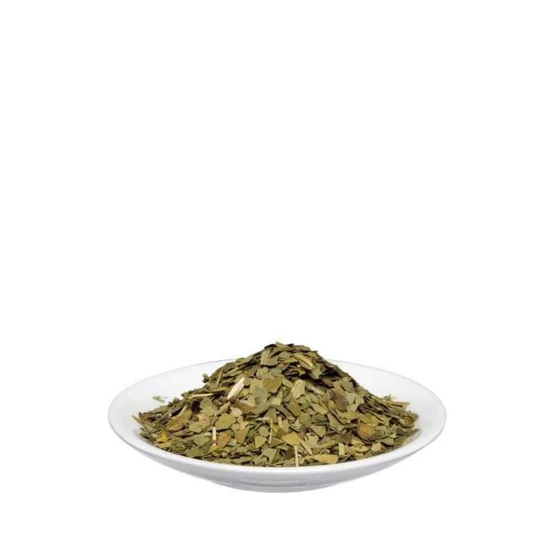 Salus Mate-Tee Grün 100g Bio