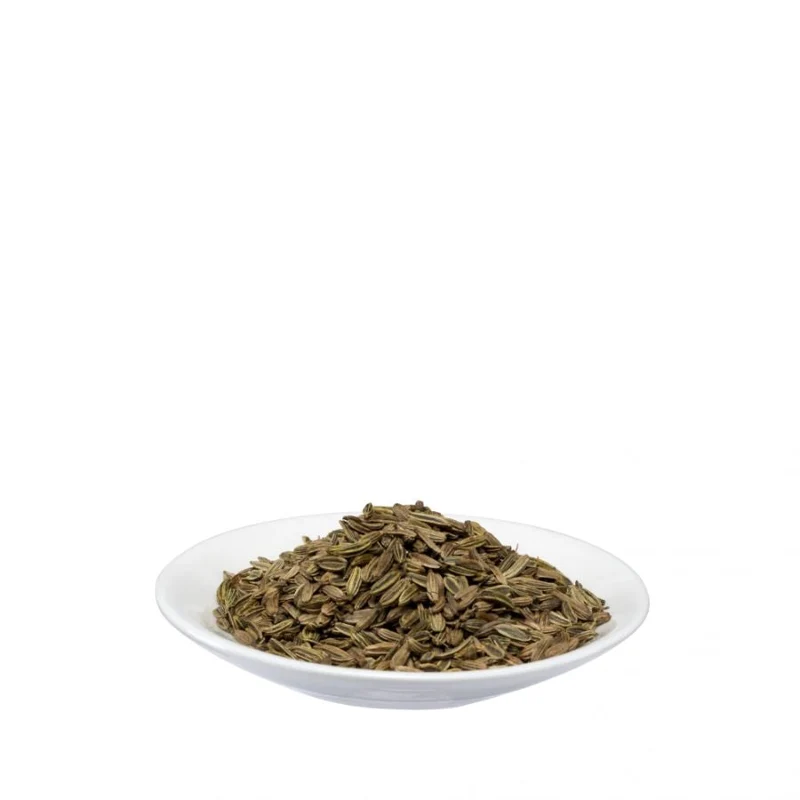 Salus Fenchel Arzneitee bio 100g