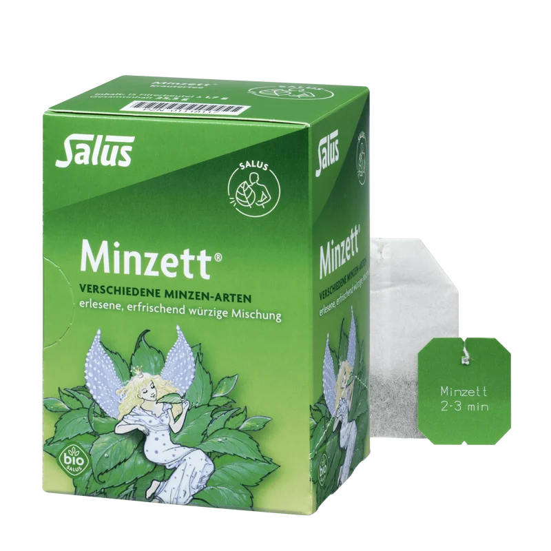 Salus Minzett Kräutertee Bio 15 Filterbeutel