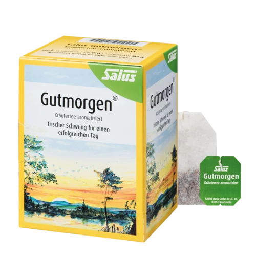 Salus Gutmorgen Kräutertee Bio 15 Filterbeutel