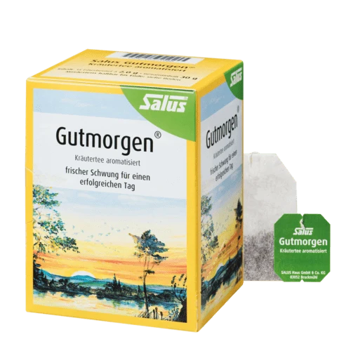 Salus Gutmorgen Kräutertee Bio 15 Filterbeutel