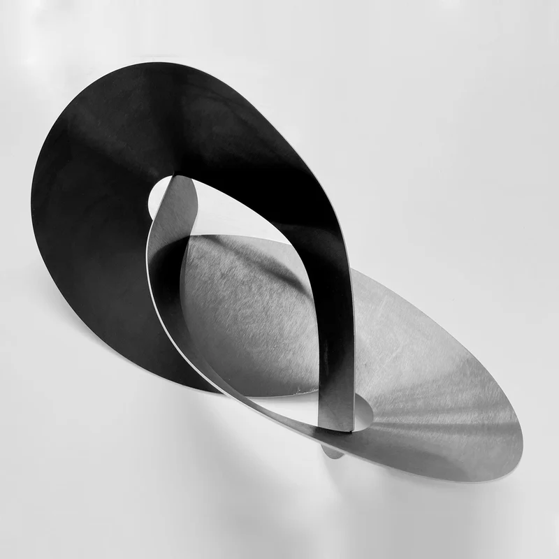 Fruit Bowl Centrepiece FLAT KNOT Black by Ronen Kadushin for Cyrcus Design