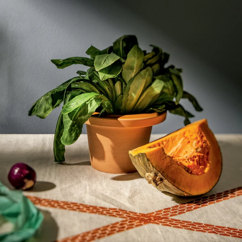 Terracotta Pot POFI by Giulio Iacchetti
