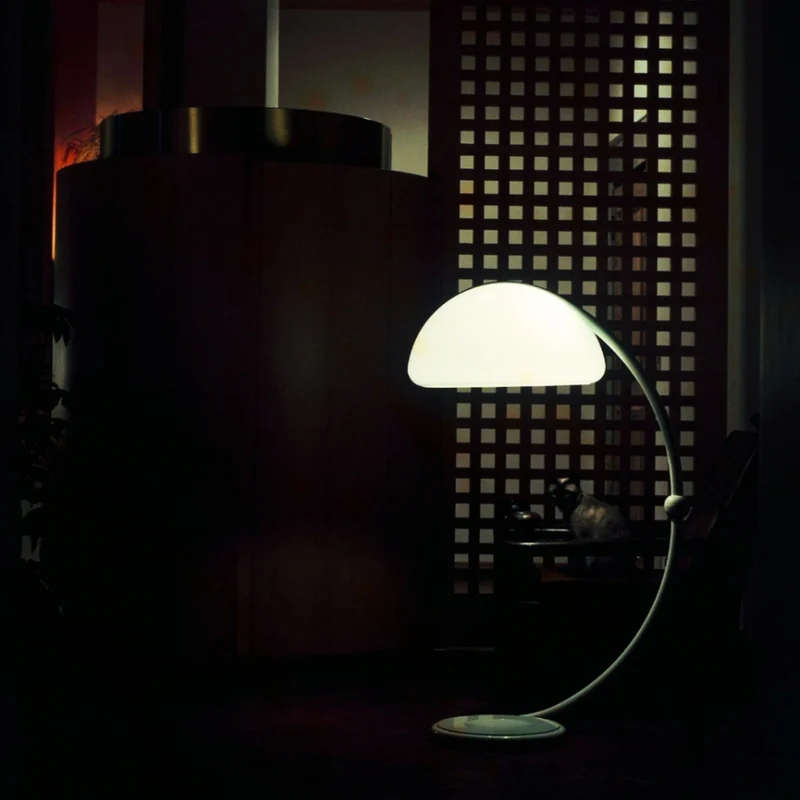Floor Lamp SERPENTE by Elio Martinelli for Martinelli Luce