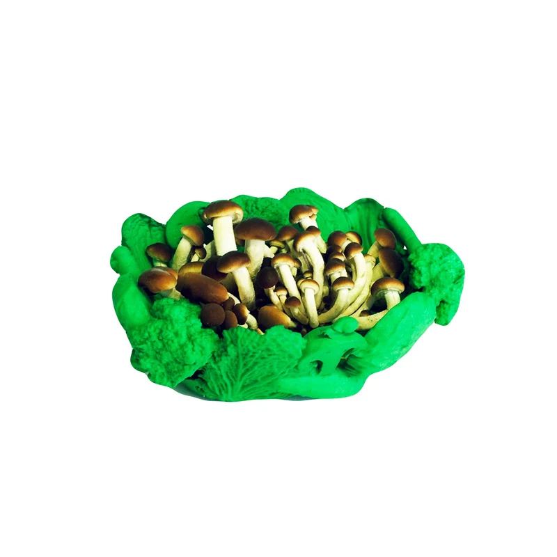 Fruit Bowl MINESTRONE by Donegani&Lauda for Cyrcus Design