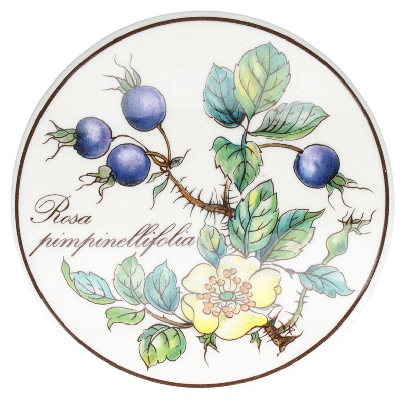 Bonbonniere / Dosen mini Rosa pimpinellifolia neues Modell