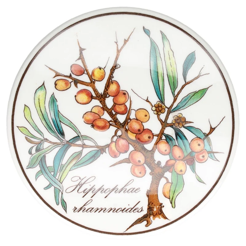 Bonbonniere / Dosen mini Hippophae rhamnoides neues Modell