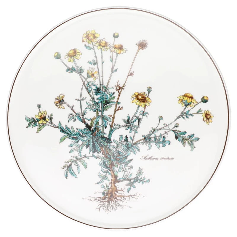 Tortenplatte Anthemis tinctoria