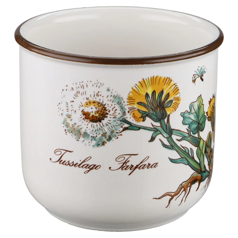 Kaffeetasse Tussilago farfara mit Wurzel und einem Motiv Typ II