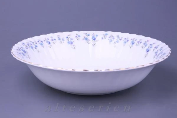 Schüssel mittelgroß
