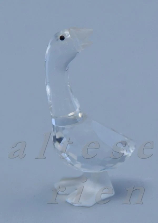 Gans klein