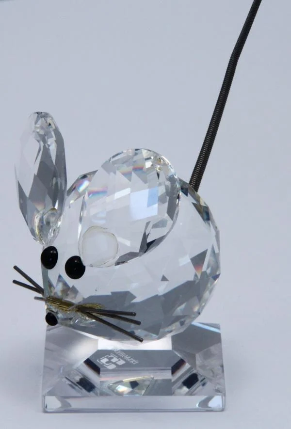 Maus groß