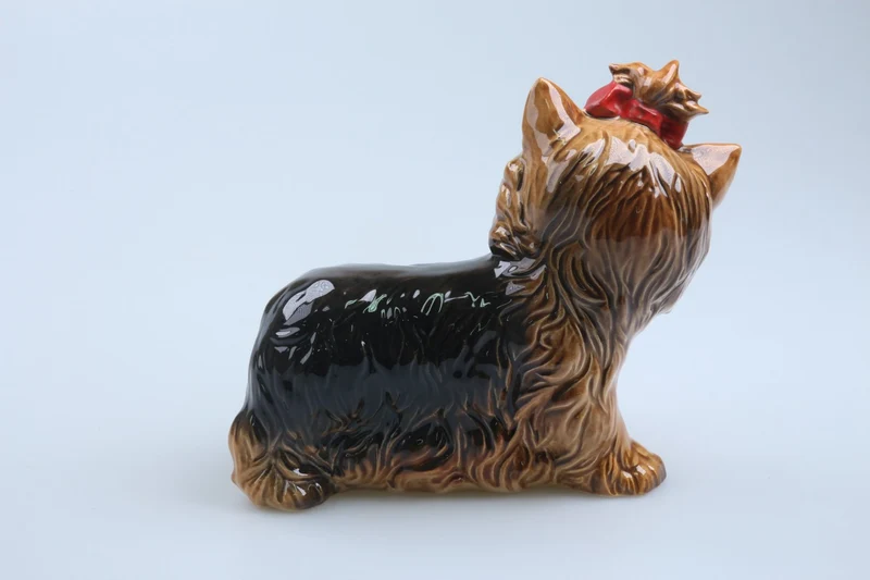 Yorkshire Terrier 515 groß