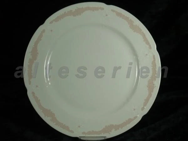 Speiseteller groß
