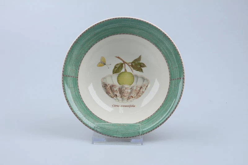 Salatschale grün - Citrus aurantifolia